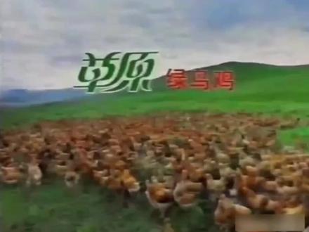 有多少人记得绿鸟鸡柳的广告#泗水绿鸟鸡柳