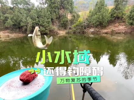 为什么要钓障碍,因为越挂底的地方越藏鱼。#钓鱼技巧 #野钓技巧 #2023dou来钓鱼 #原来钓鱼才是抖音运动顶流