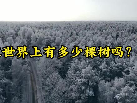 你知道世界上一共有多少棵树吗?#森林 #木材