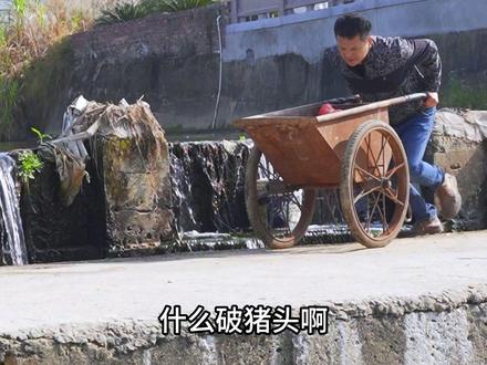 六个烟熏猪头一家人吃的大快朵颐