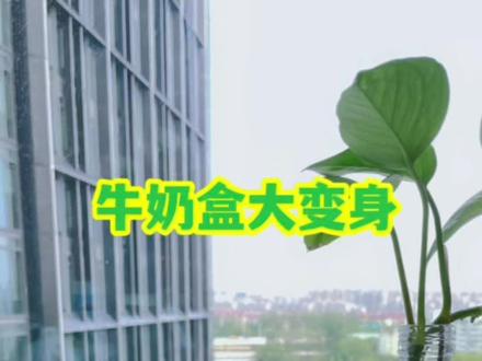 废弃牛奶盒改造!每个都实用!
可以是变身成“切菜板”,可以是“花盆”也可以是收纳盒,还有更多的牛奶盒改造等你来挖掘哦#生活小妙招 #变废为宝#可持续生活#牛奶盒#我要上热门