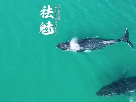 社会第一课 祛魅 没有高尚的职业 只有高尚的人格#拍出电影感 #情绪短片 #随拍 #罗翔 #inmyfeelings