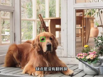 索尼二手全画幅相机,预算3500就能拍视频#摄影器材 #摄影 #索尼 #微单 #视频拍摄