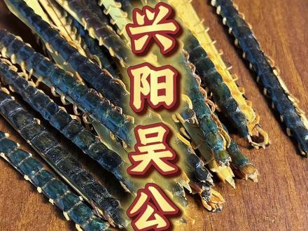 你的兄弟你定需要,蜈蚣袋#老祖宗的智慧