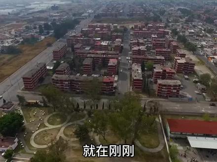 三部门给AI划下起跑线,但99%的人看漏了最关键一句! 你以为这份文件在给AI套紧箍咒?它其实在发下一轮产业革命的入场券#AI #智能体 #政策 #股票 #涨知识