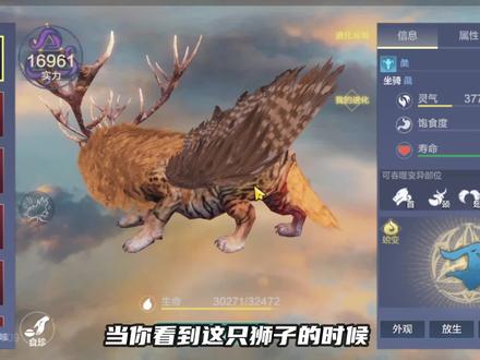 这只大狮子将进化成上古凶兽穷奇!并且我要试试半小时给它养到满 #妄想山海