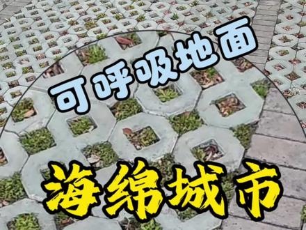 身边的地理知识——可呼吸地面(海绵城市) 地理视角解密可呼吸地面(海绵城市)对城市地理环境的影响?#地理 #高中地理 #海绵城市 #海绵城市建设 #dou小助手