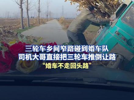 三轮车乡间窄路碰到婚车队,司机大哥直接把三轮车推倒让路。“婚车不走回头路” #婚车 #山东人 #社会百态 #仁义这一块