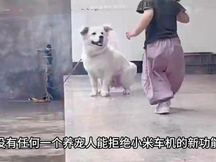 对于普通人来说这才是科技的意义#汽车 #小米汽车 #萌宠模式 #AI