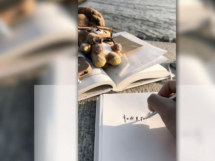 关于手写视频中大家要的🔗来咯🫶#无广自用 #美工笔 #本子 #轻松熊