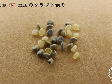 科普 蚕的一生 从孵化到产卵 #蚕的一生