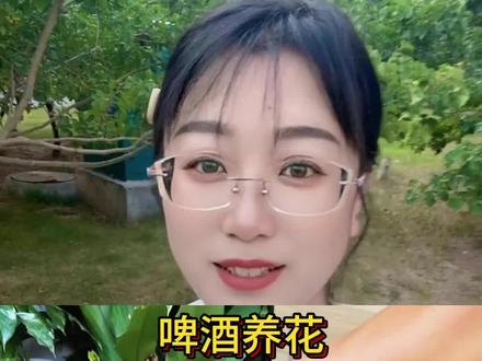 一瓶啤酒养花#养花 #养花小知识 #养花人的乐趣 #园艺