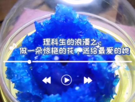 亲手做一朵惊艳的花,送给最爱的她!#理科生的浪漫#硫酸铜#化学#玫瑰花#蓝色 @抖音小助手 @DOU+小助手