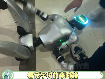 那从来不是黑历史,那是我的来时路 #宇树 #宇树科技 #春晚机器人 #来时路