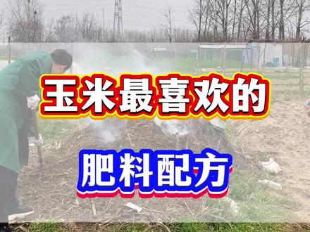 玉米最喜欢的肥料配方!#玉米种植 #玉米高产 #玉米底肥 #玉米管理 #农业种植