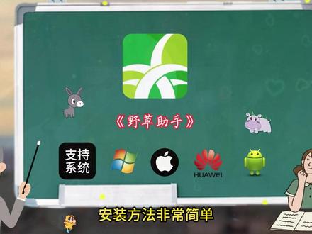 《白纸资源》#电视助手 #野草助手 #免费软件分享 #资源分享