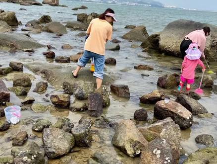 深圳极少人知道是赶海,钓鱼地方