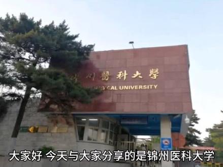 大家好,今天与大家分享的是锦州医科大学,同样我把它最值的报考专业以及录取分数和位次放在视频,最后请大家关注点赞并收藏。锦州医科大学前身为1946年在吉林成立的辽吉军区卫生学校,1949年兼职辽宁省锦州市,1998年成立锦州医学院,2006年更名为辽宁医学院,2016年更名为锦州医科大学,锦州医科大学,占地面积184.7万平方米,现有29个本科专业,硕士学位授权一级学科八个,临床医学学科,Esi排名千分之4.391,药理学与毒理学学科esi排名千分之5.952,学校现有国家级一流本科专业建设点,两个国家级特色专业,一个国家级综合改革试点专业,一个省级一流本科专业建设点,十个省级综合改革试点专业,三个省级示范性专业,三个省级特色专业,两个国家级一流本科儿课程,一门学校现有在校生1万3000余人,有直属附属医院三所,非直属附属医院五所,升学率达到35%。2024年,河北省物理组收分496分到589分,对应位次是12万9035名到2万2433米,性价比,比较高的专业,有口腔医学,医学影像学,临床医学,护理学,如果想更详细的了解这所院校,请在评论区留言