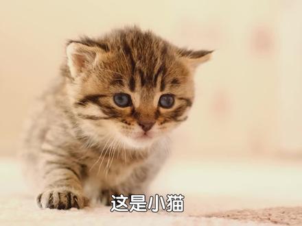 唯有热爱,可让余烬重燃#小冰冰传奇