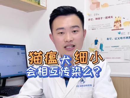 20世纪70年代,#猫瘟 病毒基因变异,开始能够感染狗#犬细小,这就是cPV 2#郑州宠物医院