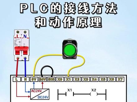 PLC的接线方法和动作原理#电工 #plc