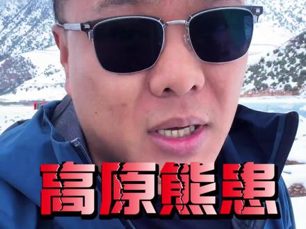 高原熊患 藏马熊辟谣争议!高原本地人说出实话#高原熊患 #藏玛熊 #熊伤人