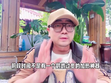 #创作灵感 鹦鹉过冬保温神器,用了一段时间说说感受。鹦鹉冬天如何保温#鹦鹉 #手养鹦鹉 #鹦鹉过冬 #鹦鹉保暖