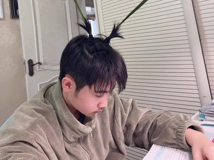 可惜你不看逐玉,不然你肯定懂!#逐玉 #张凌赫