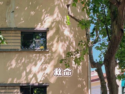 邠江江:小朋友饿了就会自己找奶嘴~#克拉克拉 #西贝咸酱 #磕糖 #cp #甜甜的恋爱