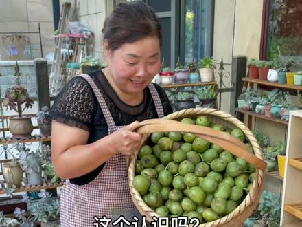 朋友们,新鲜核桃成熟了,今天把新鲜核桃的三种做法分享给大家看看@抖音小助手