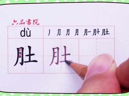 小学二年级上册生字【肚】#小学生练字