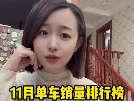 完了,现在一个懂车的也没有了!这些不懂车的人都买了什么车啊?#11月汽车销量排行榜