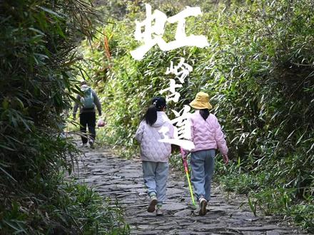 宁波徒步|虹岭古道|亲子游线路 📍导航定位:余姚禅悦寺(高德精准)
🅿️停车指南:寺庙自带停车场免费停
🚻厕所彩蛋:起点无厕所!快到禅悦寺1km处路边有厕所
⛰️【六只脚轨迹8748017】
✅小环线4.5km | 爬升180m
✅雨后3天冲!双瀑布水流大更出片
✅低幼儿童友好路线 3岁+轻松拿捏
💦玩水暴击装备:
👉🏻水枪/捞鱼网/溯溪鞋
👉🏻备用衣物2套+速干毛巾
👉🏻野餐垫(瀑布边秒变露营大片)
☕️氛围感buff:
手冲咖啡+糯米团子+水果盒+点心
(瀑布茶歇真的超治愈!)
📸摄影老司机tips:
1️⃣广角镜头锁死!瀑布全景超好看
2️⃣林间丁达尔光线王者时段
3️⃣玩水+青苔石阶+森系写真直出
⚠️亲子特别注意:
▪️雨后石阶微滑 穿防滑鞋
▪️带折叠凳或者坐垫方便娃中途休息
▪️带走垃圾
🍃全程树荫覆盖率90%!夏天25℃体感
快收好这份保姆级攻略,带娃解锁瀑布下的夏天吧!💦
#宁波徒步 #江浙沪亲子游 #夏日玩水 #户外遛娃 #虹岭古道
