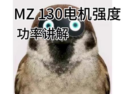 MZ 130电机实际功率到底有多少?兄弟们要的讲解视频来了 #Mz130 #电机 #电机讲解