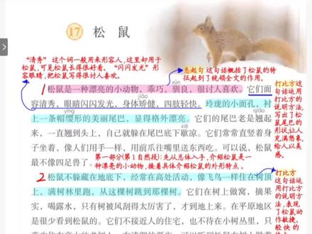 五年级语文上第十七课《松鼠》#学习笔记分享