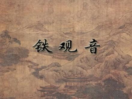 铁观音行茶法 #茶艺#茶艺培训