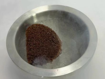 把红火蚁扔进零下196度液氮里!解冻后还能复活么?#红火蚁#红火蚁入侵 #液氮 #实验