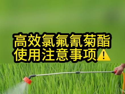 高效氯氟氰菊酯使用注意事项⚠️#新农人计划2023 #抖音助农 #三农 #病虫害防治 #小刘讲农业 @抖音小助手 @DOU+小助手