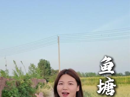 还不知道河道在哪的看这里#乡村振兴 #村干部 #三农流量扶持计划 #村委会
