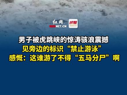 7月30日,云南香格里拉,男子被虎跳峡的惊涛骇浪震撼,见旁边的标识“禁止游泳”, 感慨:这谁游了不得“五马分尸”啊!