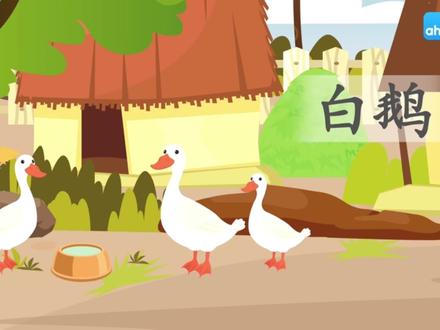 四年级下册语文同步漫画课《白鹅》 #课文动画 #预习课文 #强烈推荐