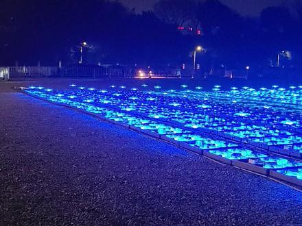 震撼!2026架无人机点亮夜空,《万马奔腾》无人机秀彩排现场,游客:让我一辈子都很难忘#荆州十二时辰 #荆州甲胄护卫队 #2026架无人机荆州跨年 #荆州一文一武皆江湖