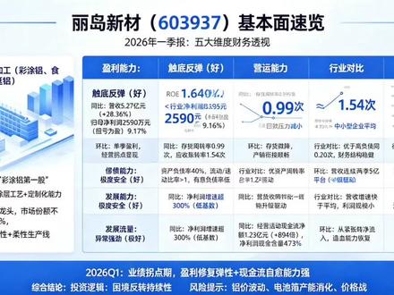 丽岛新材2026年一季报分析 #丽岛新材