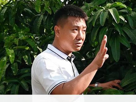 今天又开始下雨了……#芒果种植技术 #乙烯利 #多效唑