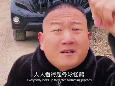 冬泳怪鸽是一股清流他是黄春生,但是人人都愿意成为于文亮#giao哥