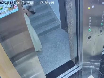 手机掉电梯夹缝里,不需要蒙圈
西奥电梯有专业维保人员帮您取出#电梯