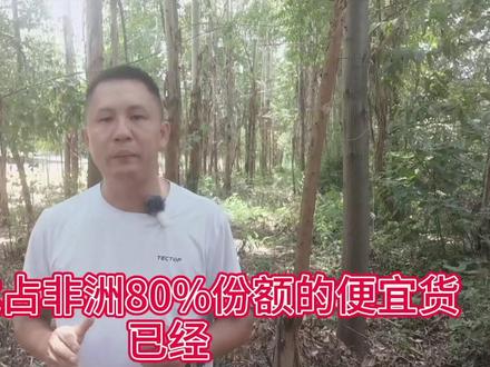 广西桉树价格能涨到什么时候?#木粉