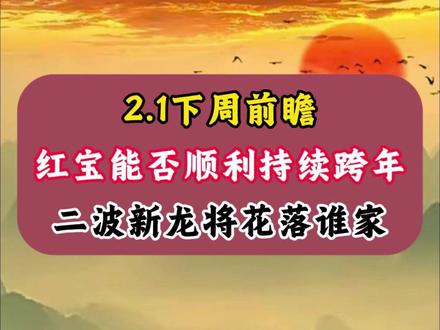 红宝能否顺利持续跨年、二波新龙将花落谁家? #财经 #股票