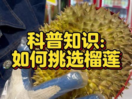 科普知识:如何挑选榴莲#榴莲知识普及
