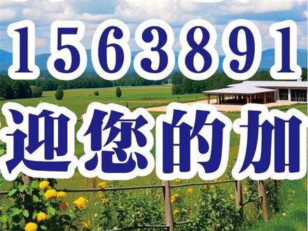河南与山西交界处,藏着一条绝美自驾路线,四天三晚七百公里,不挑车,不挑人,照着开就行。#南太行 #南太行自驾穿越 #自驾游 #太行山 #旅行推荐官
